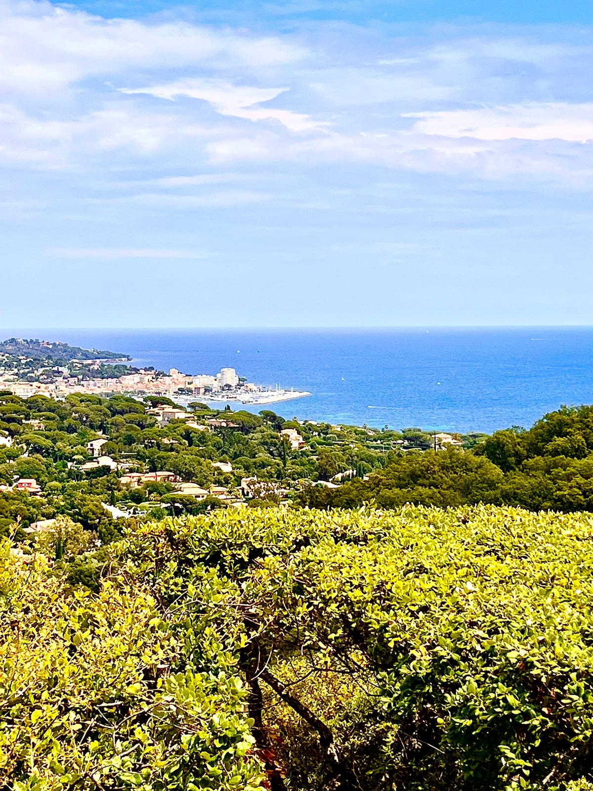 Mas de Provence 11